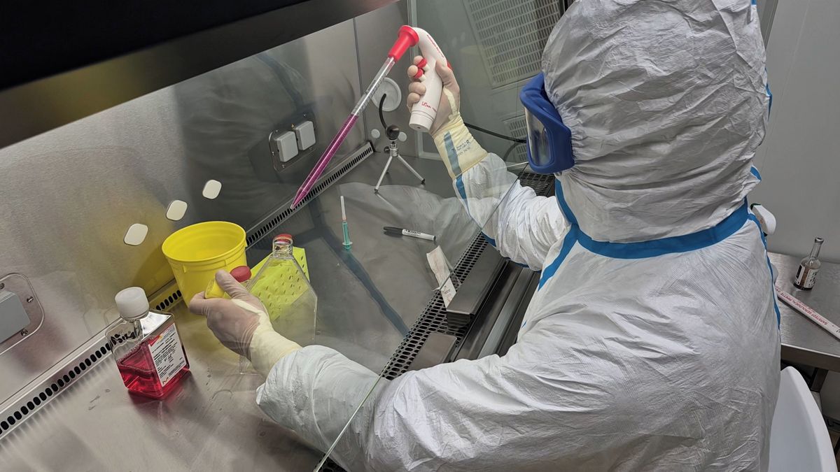 Nové centrum na Masarykově univerzitě dává naději na účinnější léčbu vzácných onemocnění